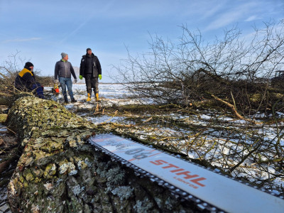 Lutowa sobota pracująca